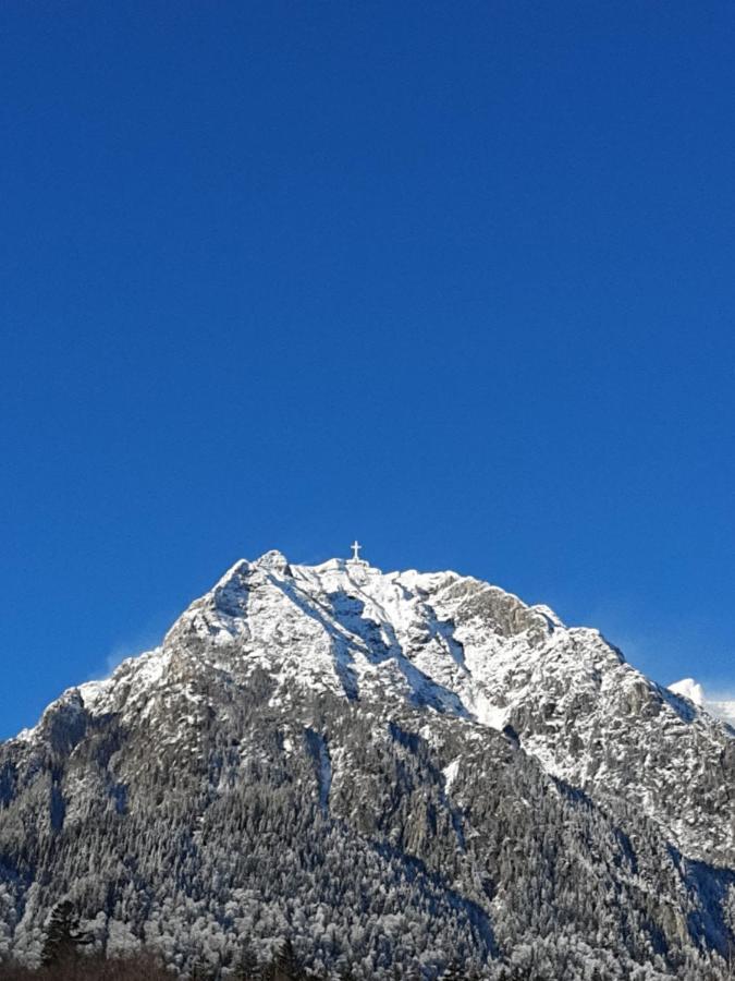 Casa Cu Flori Gasthof *