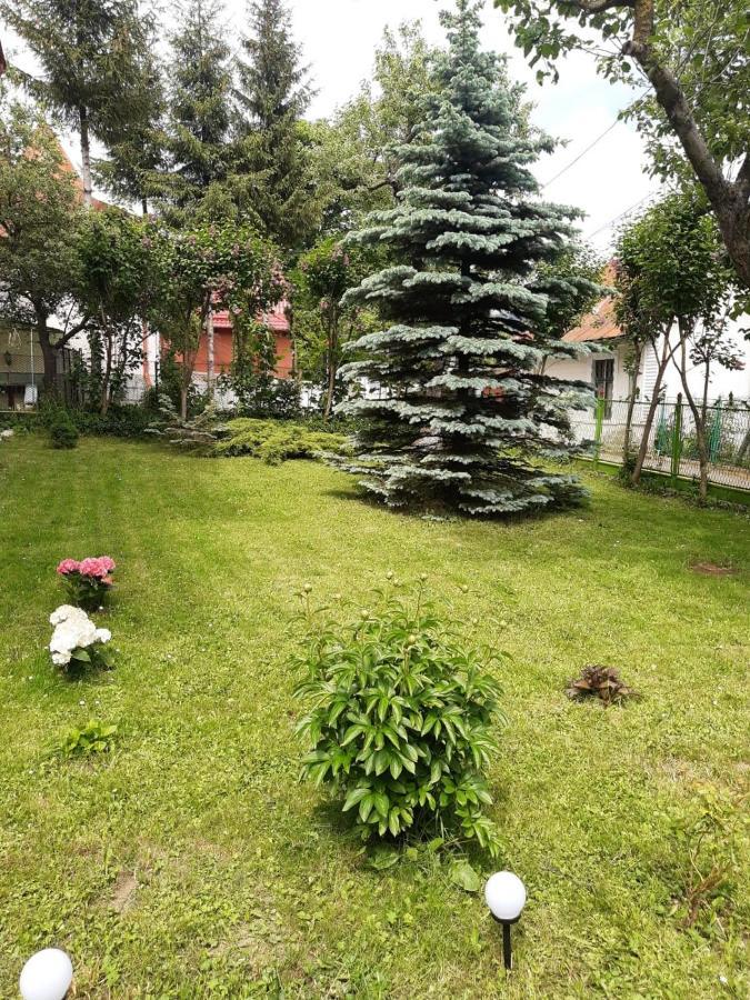 Casa Cu Flori Gasthof Buşteni