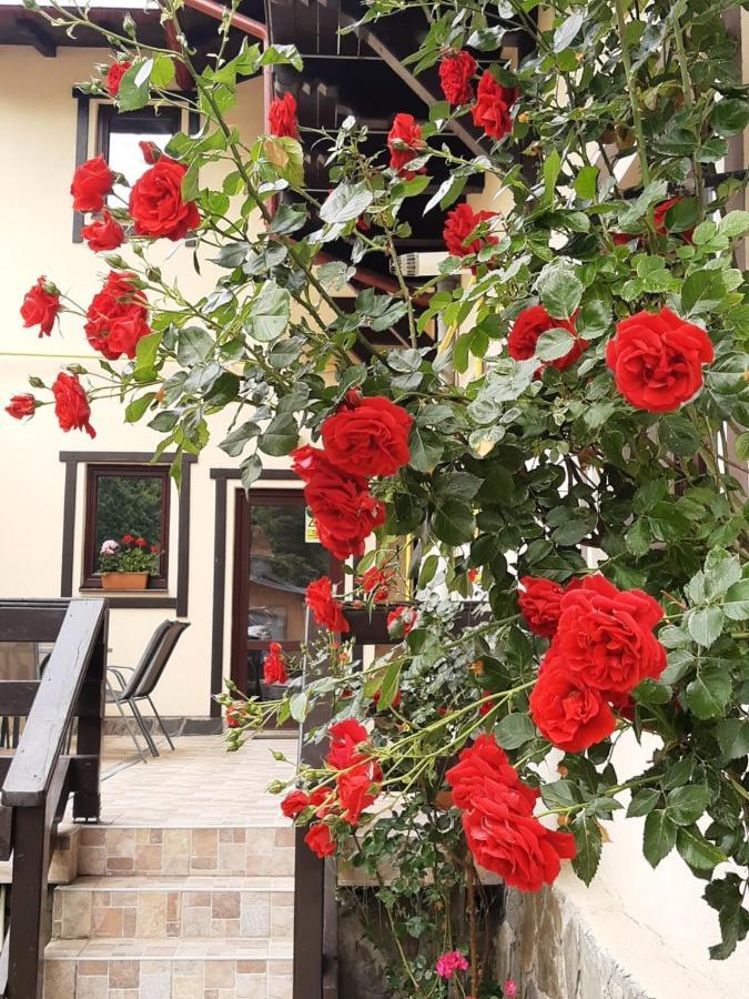 Casa Cu Flori Buşteni